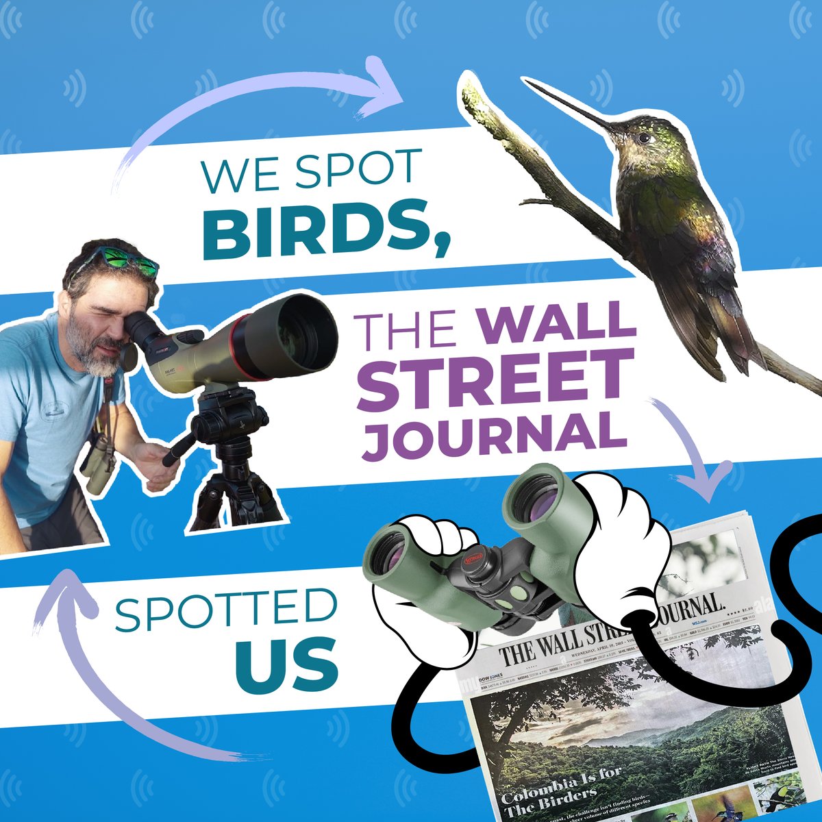 TheBirdersShow's tweet photo. We appreciate @WSJ's mention of our videos by journalist Adam H. Graham in 'Beach Escape and Birding Bonanza: Find Both on Colombia’s Caribbean Coast.' He watched our YouTube channel before going birding to Colombia. Thanks for exploring with us!
Haven't subscribe? Go to our BIO! https://t.co/AjSaFVQ27A
