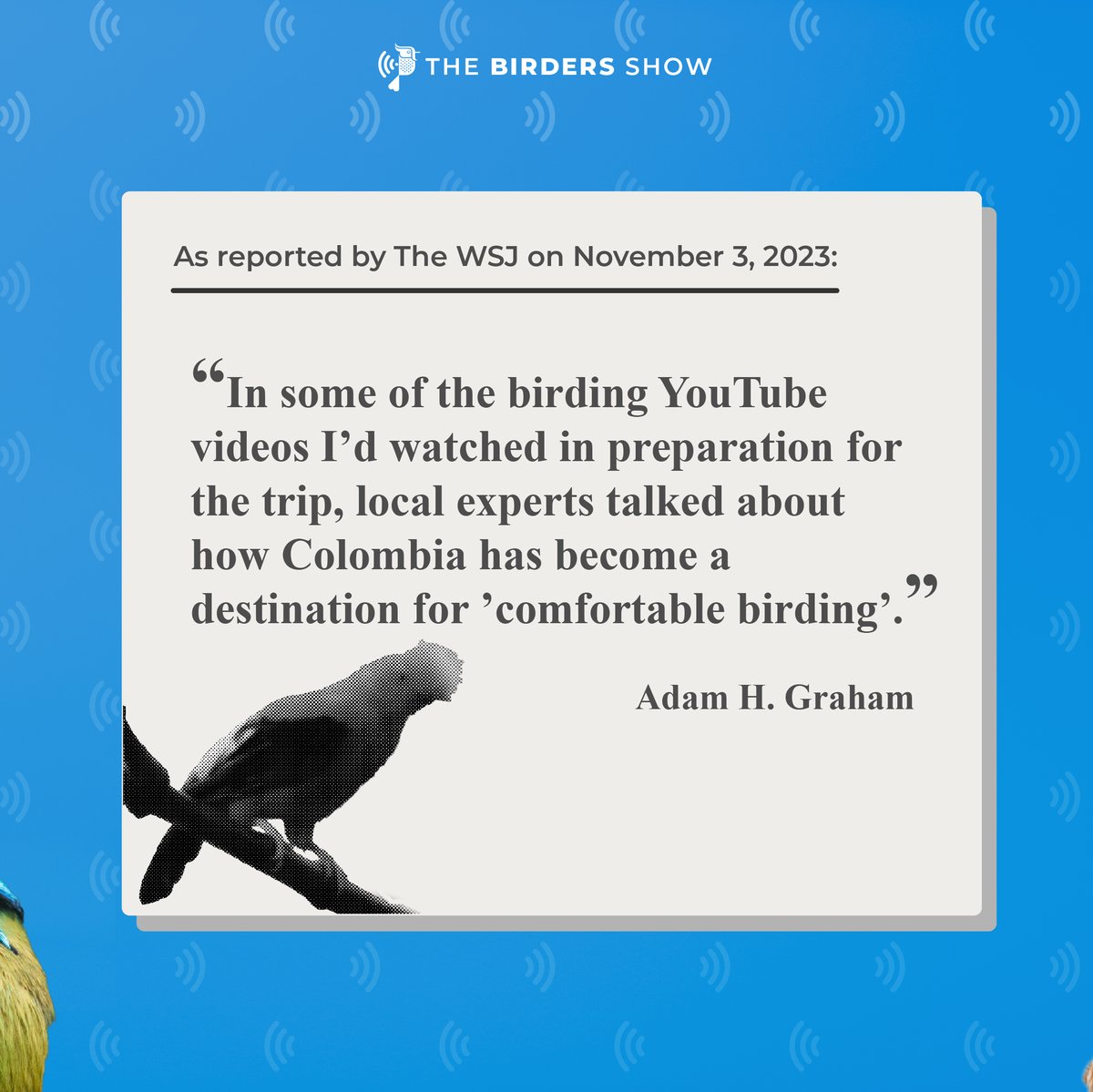 TheBirdersShow's tweet photo. We appreciate @WSJ's mention of our videos by journalist Adam H. Graham in 'Beach Escape and Birding Bonanza: Find Both on Colombia’s Caribbean Coast.' He watched our YouTube channel before going birding to Colombia. Thanks for exploring with us!
Haven't subscribe? Go to our BIO! https://t.co/AjSaFVQ27A