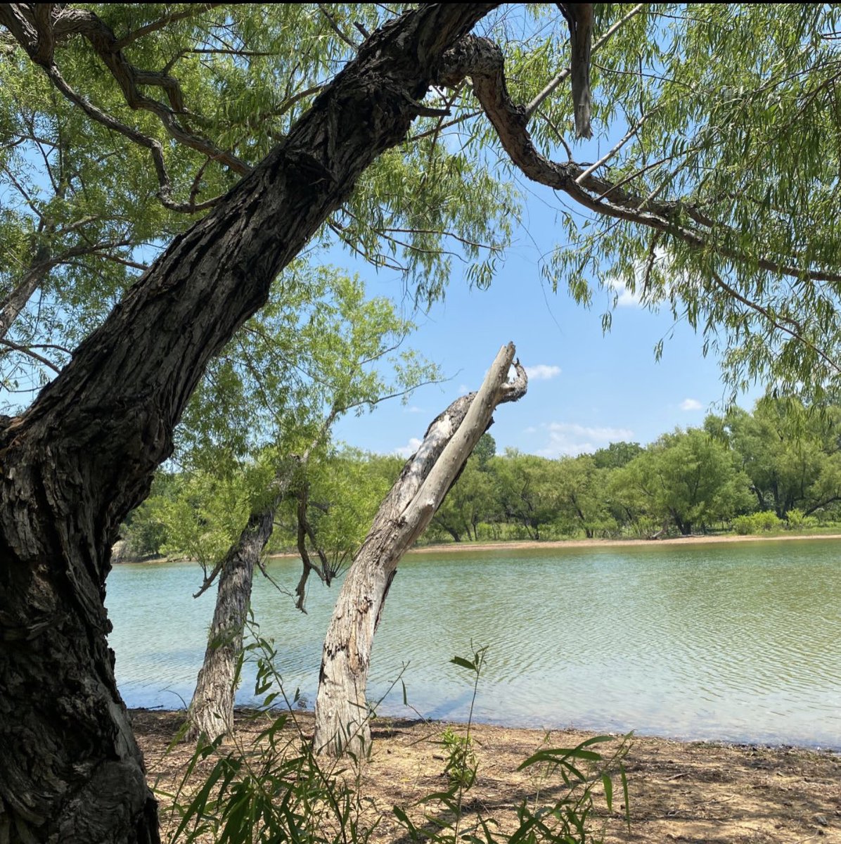 Hope y’all are having a great day!😊 New pack up on <a href="/RevelXyz/">Revel.xyz</a> 
#Revel