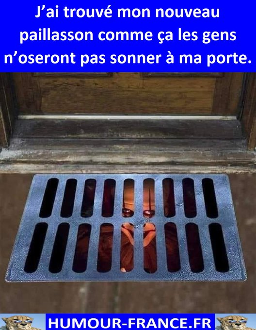 text alternatif
