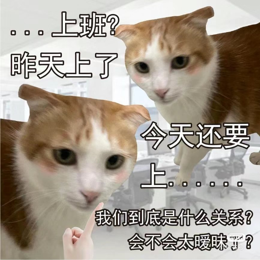 December032's tweet photo. 什么ppt啊还要我亲自做 烦死了 https://t.co/h3XpSkdNA3