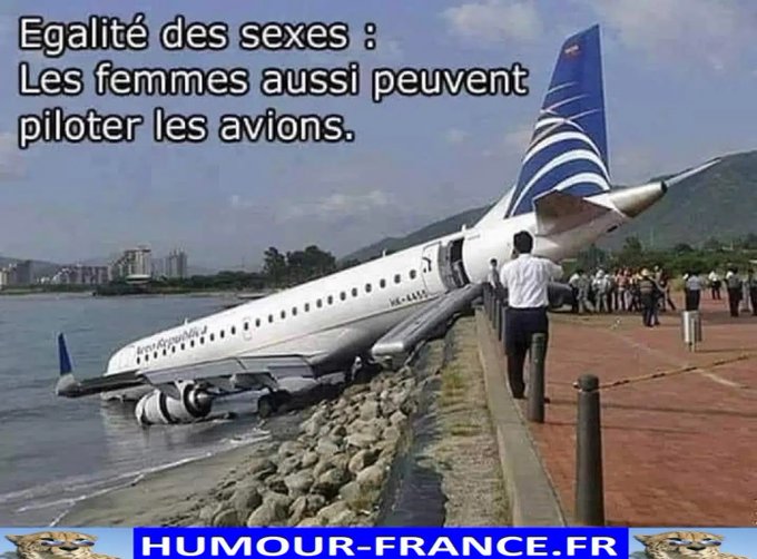 text alternatif