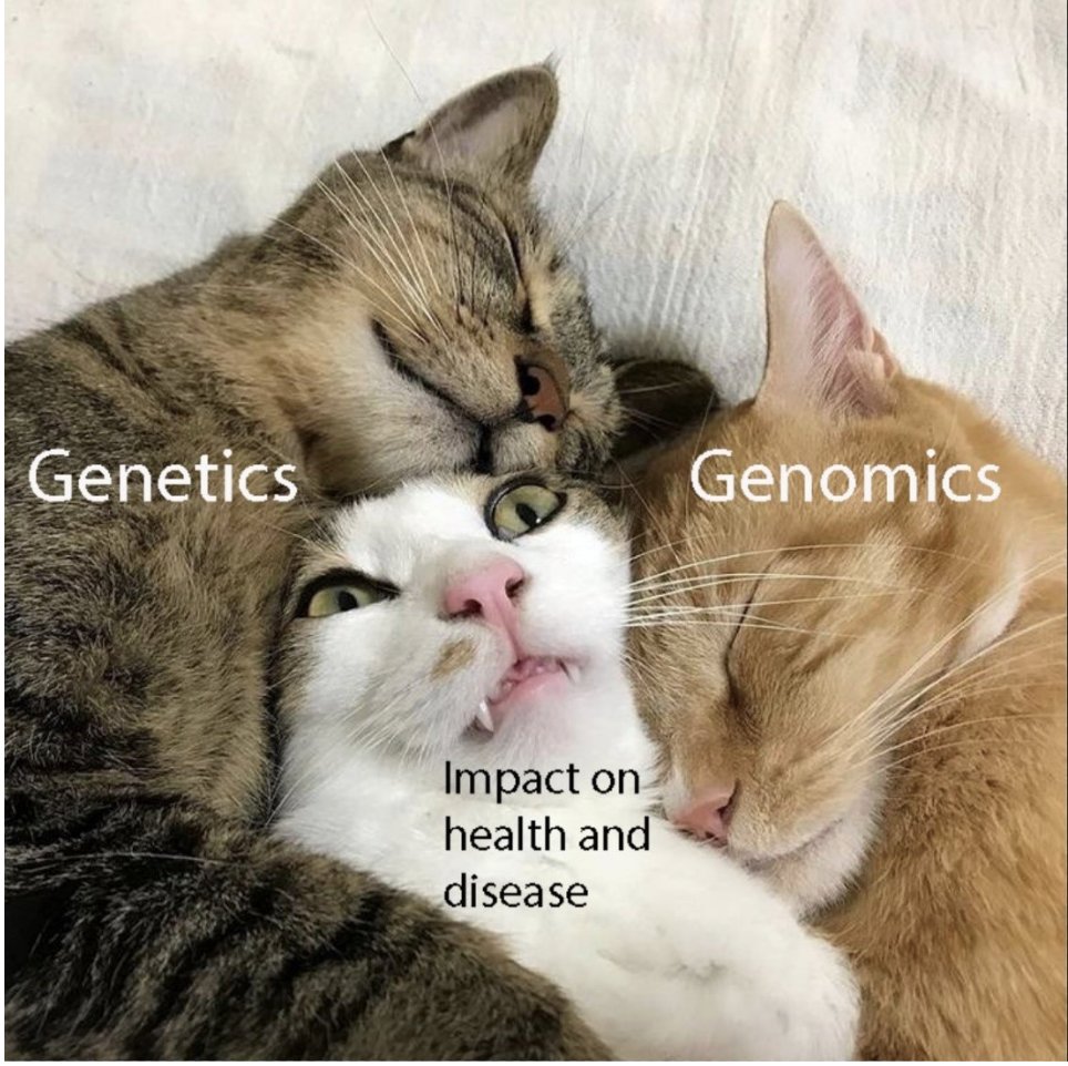 Genetics and genomics both play roles in health and disease, but what’s the difference between the two? Why are they both important for our health? Learn more about their differences and importance for our health in our Genetics vs. Genomics Fact Sheet! genome.gov/about-genomics…