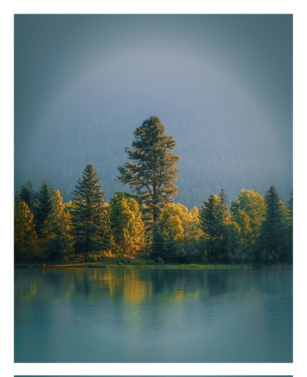 Between Banff and Montana