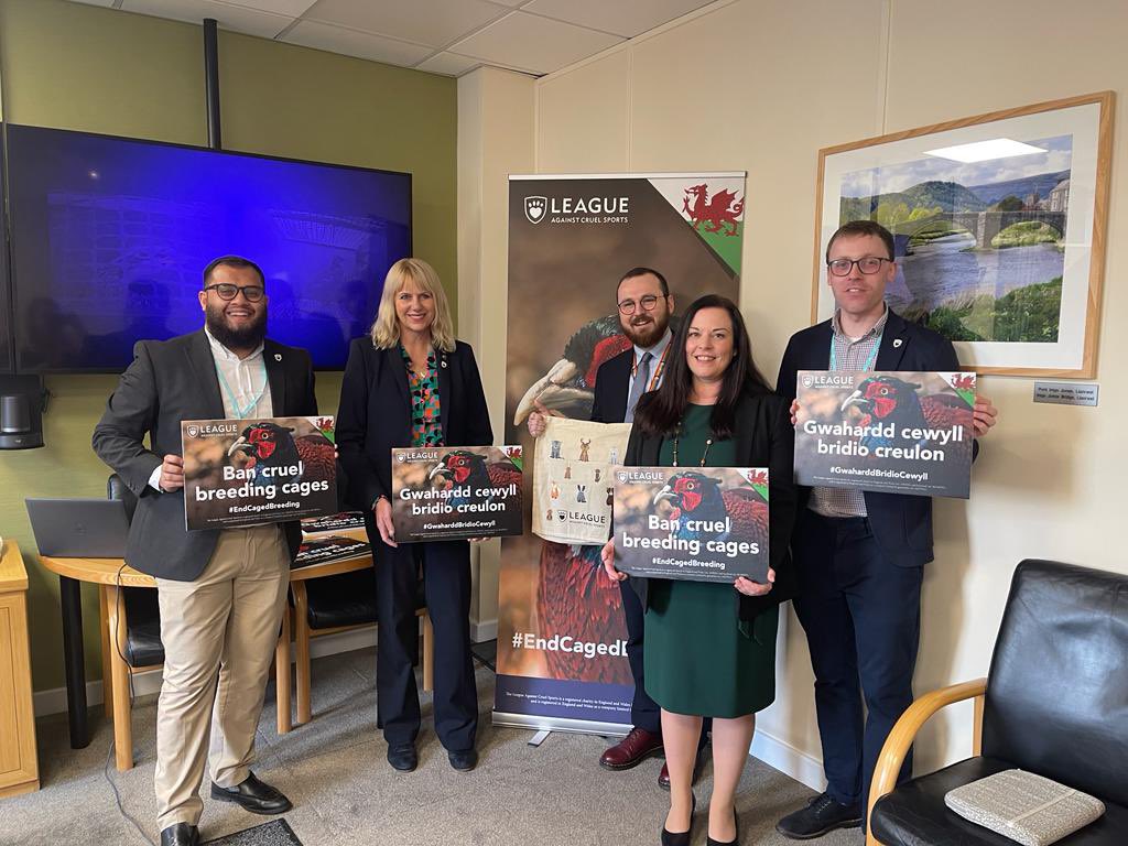 VikkiHowells's tweet photo. I hosted an event at @SeneddWales for @LeagueACS and @LeagueWales so they could update MSs on their #endcagedbreeding campaign.
It was good to see so much cross-party support behind this important call.
More info ๐
https://t.co/fAMuMxlkE8 https://t.co/b23DP0lQtH