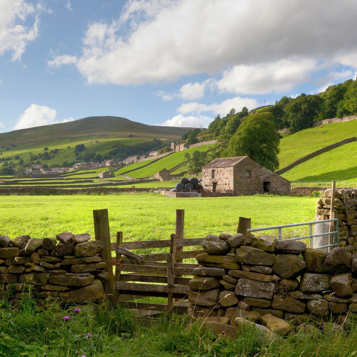 DefraGovUK's tweet photo. We’ve issued a Call for Evidence to industry exploring positive change in the tenant farming sector 🚜

It examines concerns about poor practice and the potential role of a Tenant Farming Commissioner.

The Call for Evidence runs until 8 February 2024.

https://t.co/u5IuyZY5OB https://t.co/a5hZECHfOY