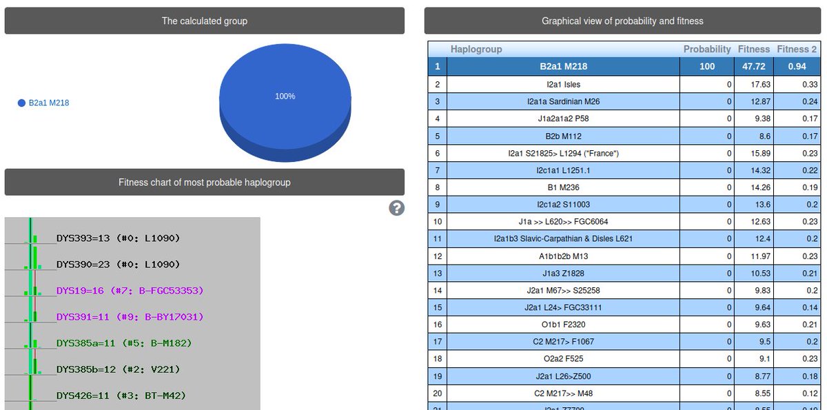 من ضمن بعض الفحوصات التي قمت بها
ظهرت نتيجة 18 ماركر للعينة رقم 58310 في YSEQ
للاخ حسن الزيلعي  
من القصابية من قبيلة الزيالعة - من حلي بن يعقوب - في محافظة القنفذة بمنطقة مكة المكرمة بالمملكة العربية السعودية
موجبة السلالة: B2a1 M218