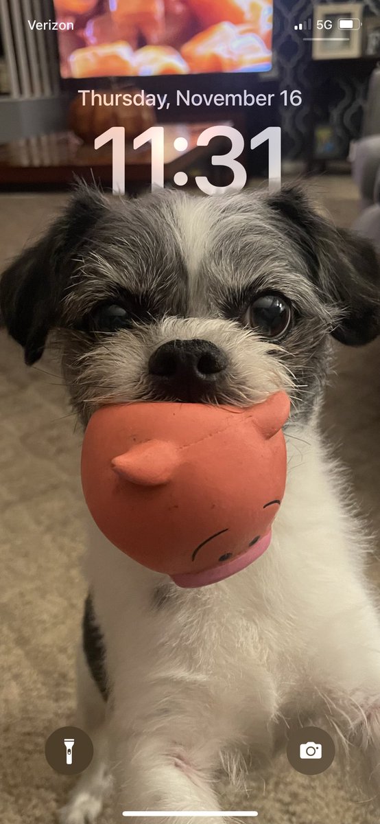 Steven Linder tweet media