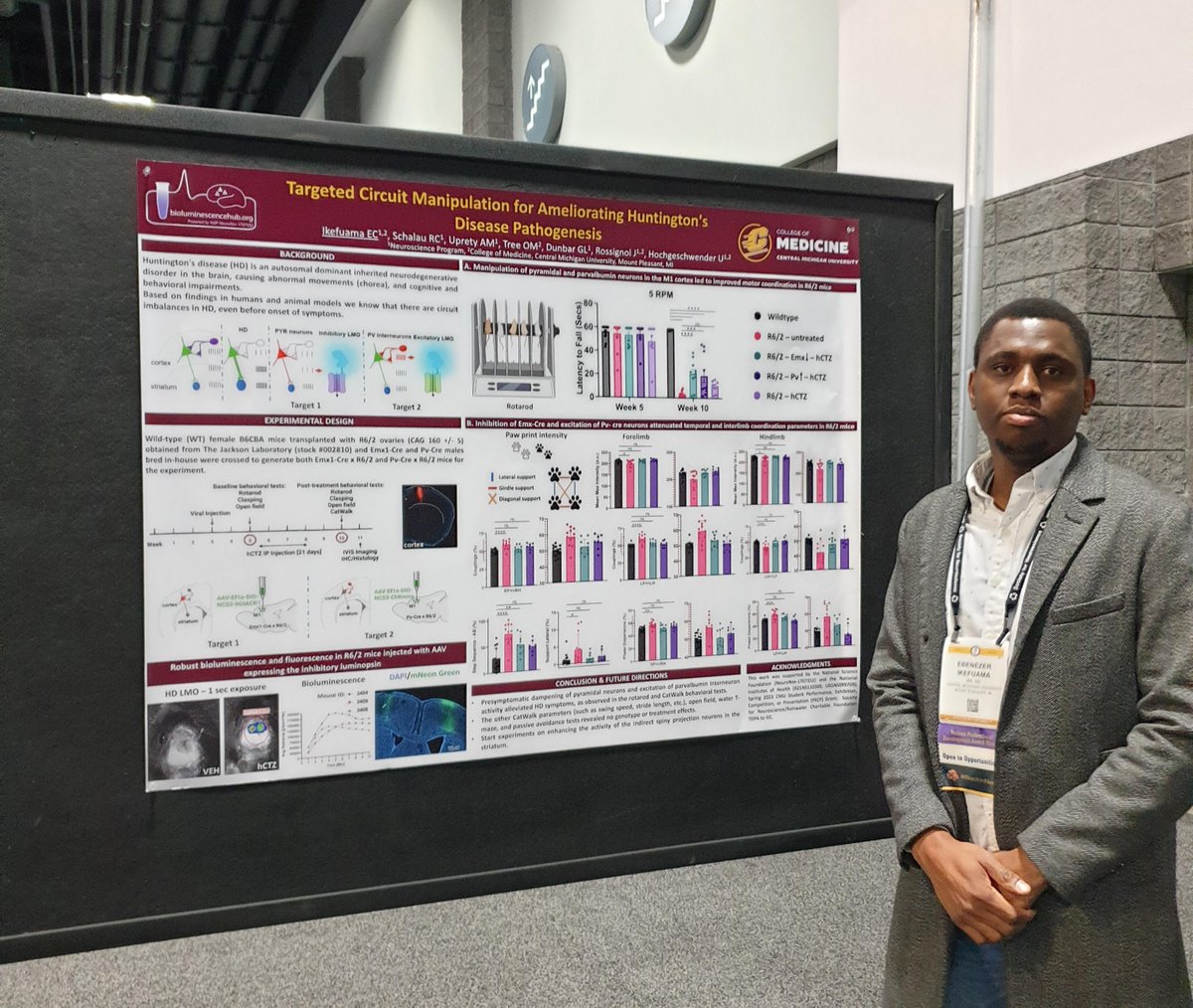 BiolumHub's tweet image. What a great meeting #SfN23! Thanks to @IkefuamaEben for sharing these photos from his poster presentation! 

Learn more at bioluminescencehub.org and reach out if you are ready to try #bioluminescent #optogenetic tools.