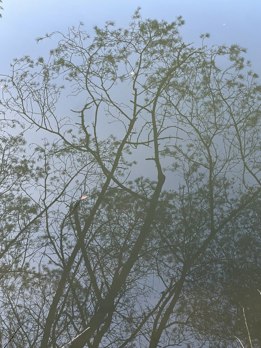 Reflectie
