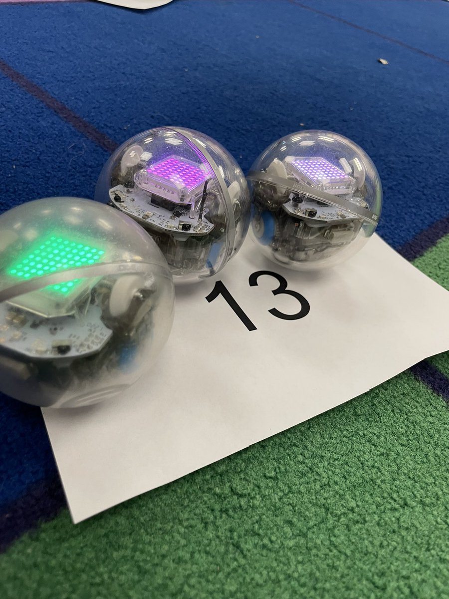 Madison Chesnutt tweet media