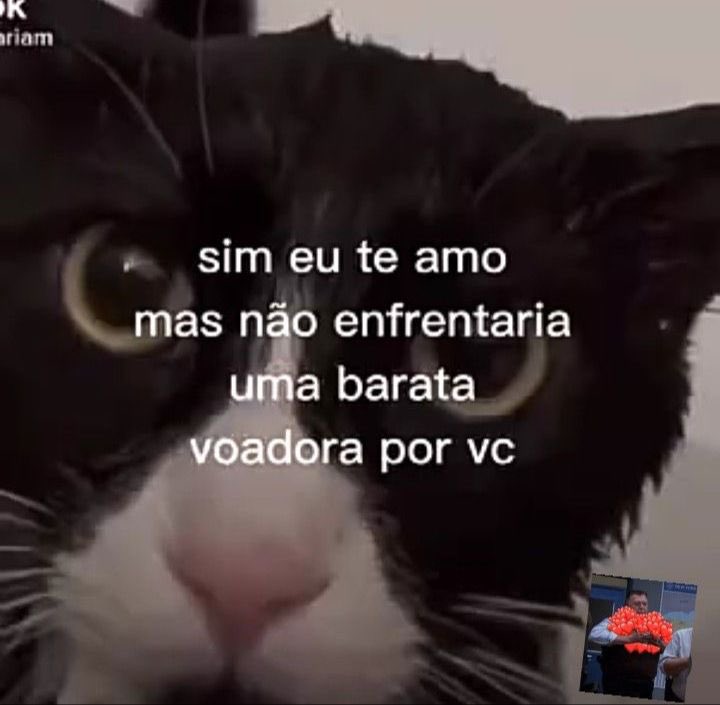 tudo tem limites