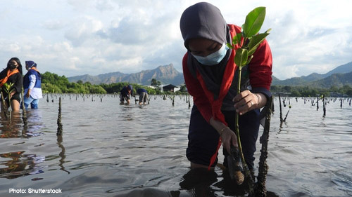 #NaturebasedSolutions could generate twenty million jobs while addressing major challenges such as #ClimateChange, disaster risk, and food and water insecurity. Learn more in our report with @ilo and @UNEP. 👉 bit.ly/3UKtrFR