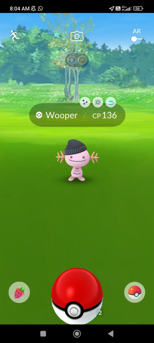 ManoloRAM1's tweet image. #shinypokemon 
#PokemonGo
#PokemonGoApp
#PokemonGOFashionWeek