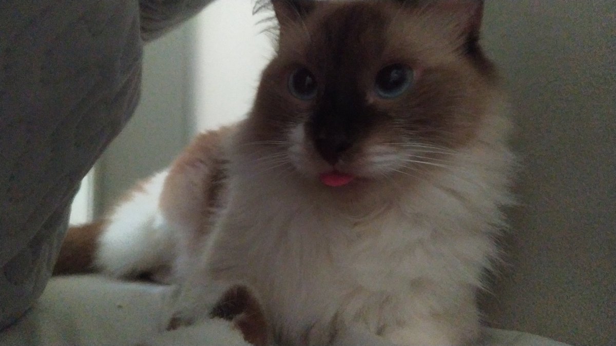 󠂪󠂪󠂪󠂪󠂪󠂪 󠂪󠂪󠂪 tweet media