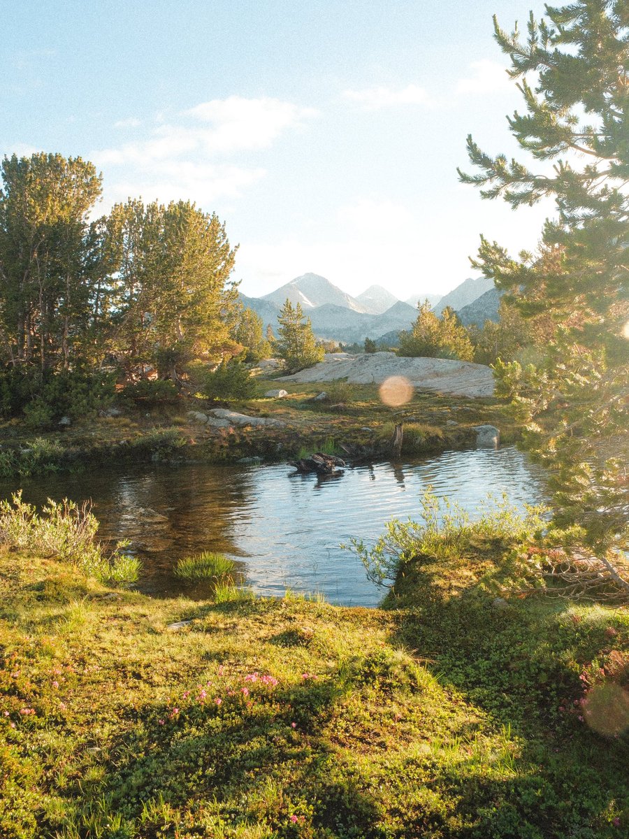 Brad Baldwin tweet media