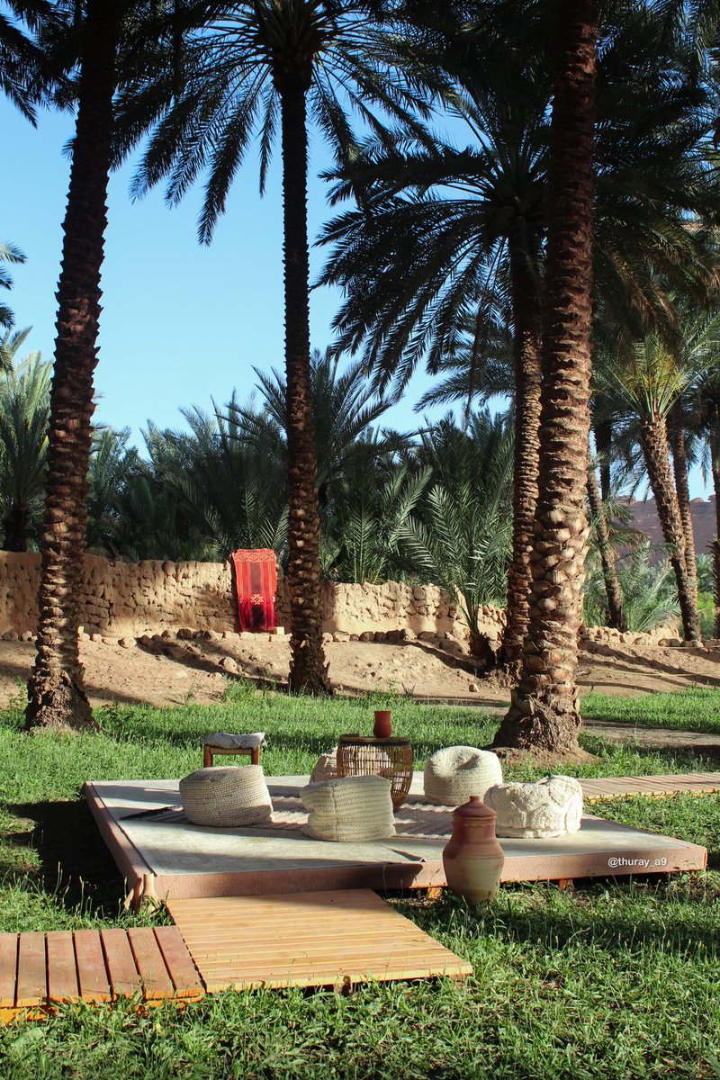 THURAYA📸 tweet media