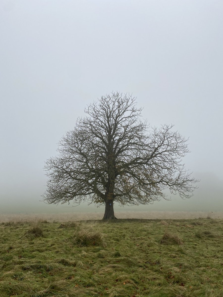Playing in the dirt at Hardwick Park (no trowel required!)