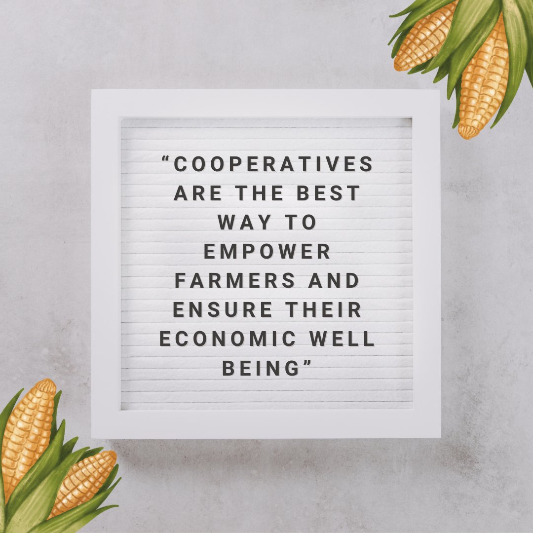 Our employees and members approach every day with a sense of purpose to ensure our cooperative is strong, viable and relevant to the community for generations to come!

We are proud to serve you!

#FCA #VisionAg #KeotaIA #Iowa #IowaJobs #AgCareer #SEIowa