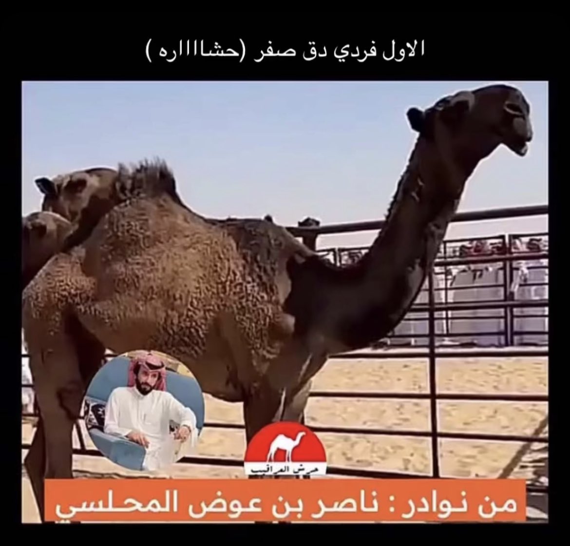 مبروك يابو خالد