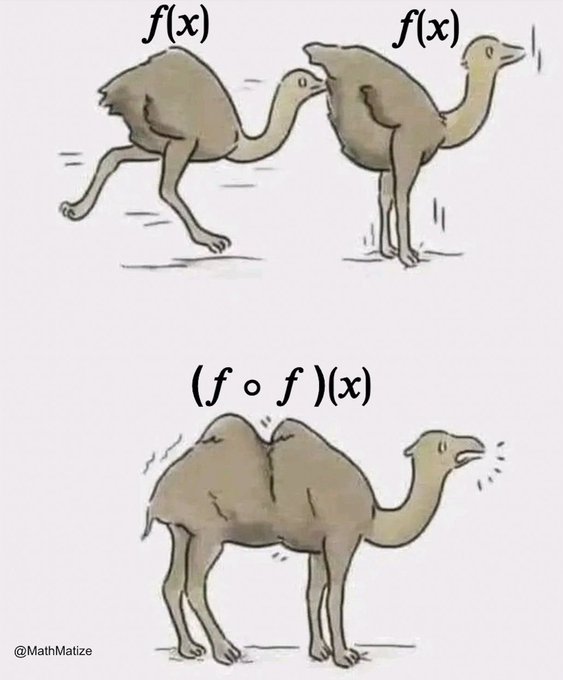 A picture of two ostriches with one sticking its beak near the other’s tail. Both ostriches are captioned “f(x)”. Below them is a picture of a camel captioned “(f o f)(x)”