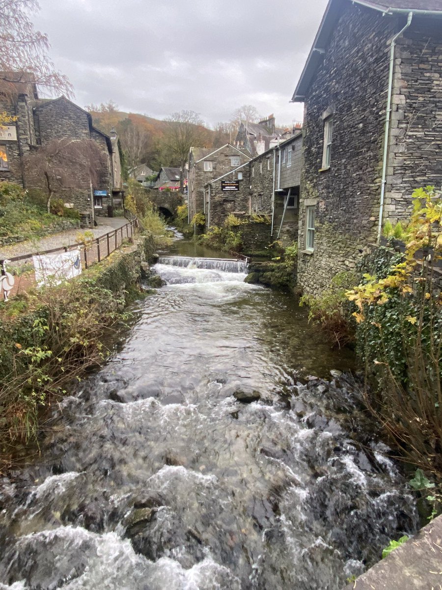 Rachel Cobb tweet media