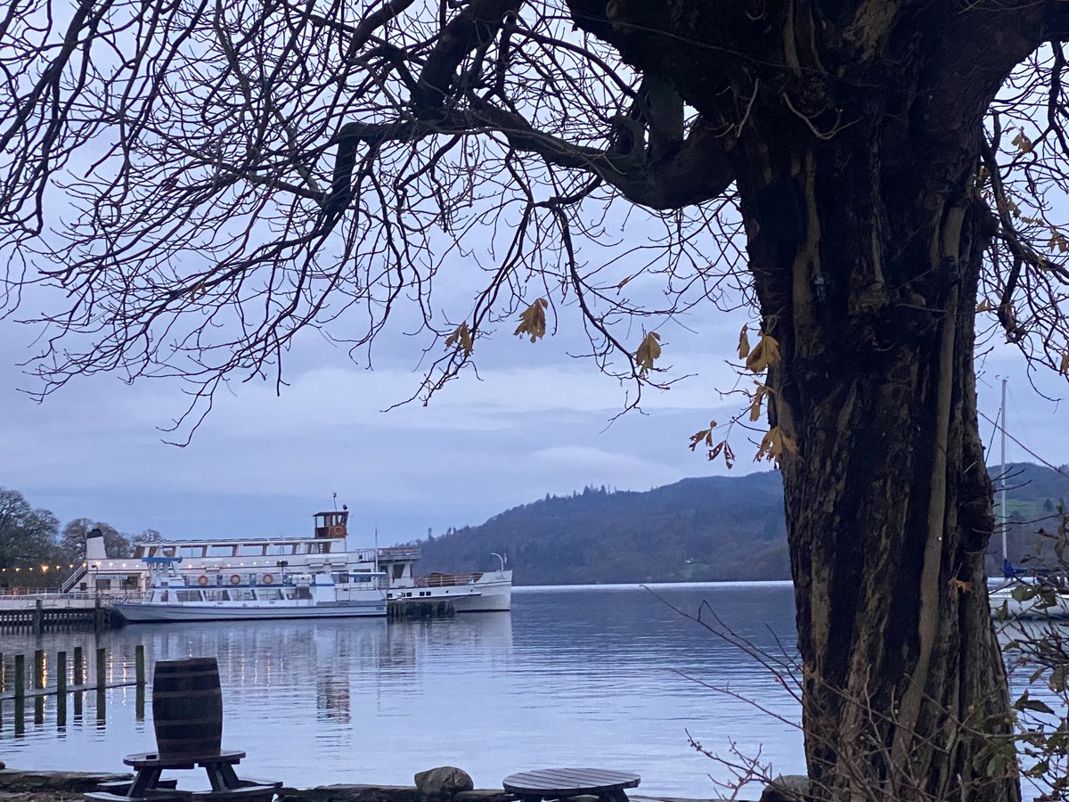 Rachel Cobb tweet media