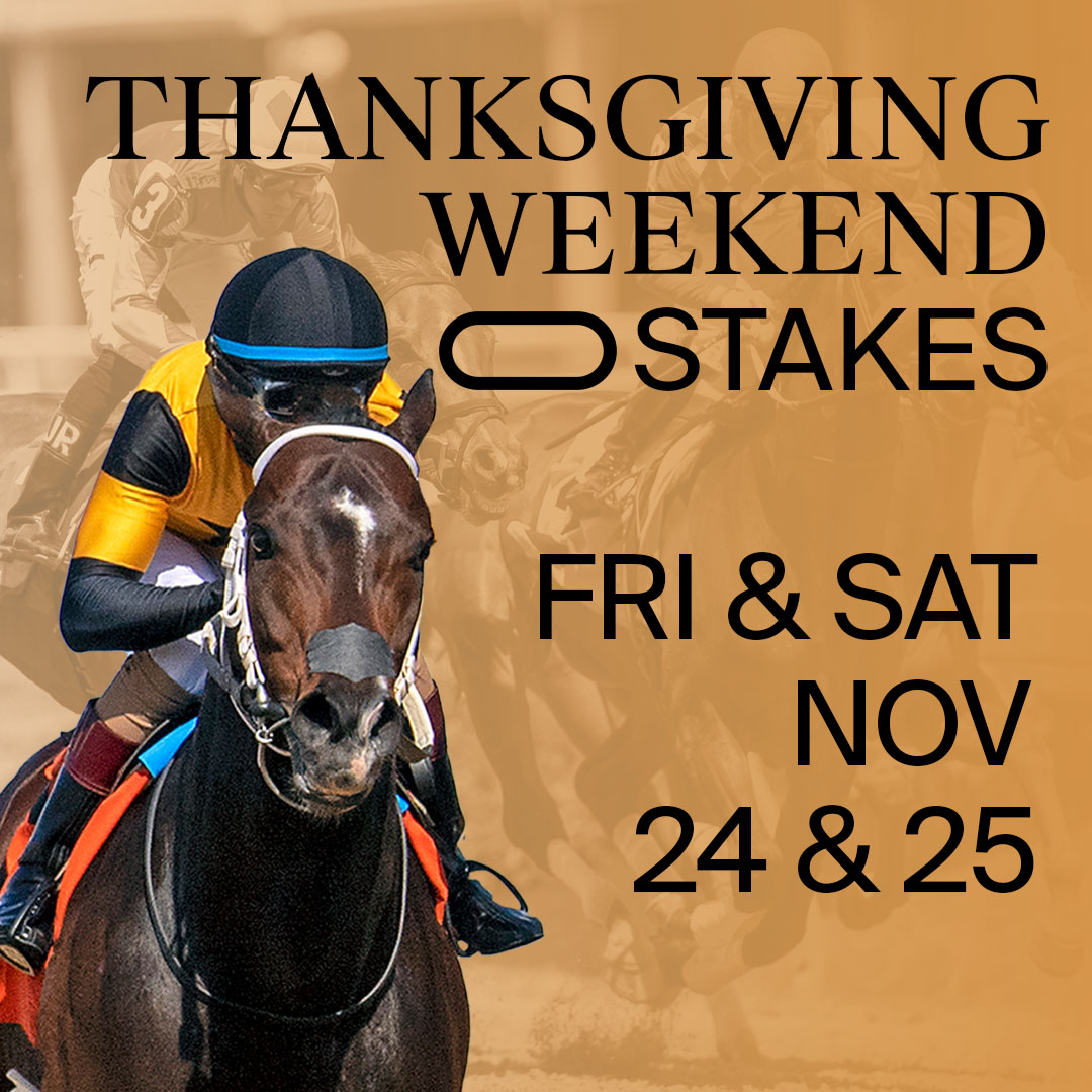Who doesn't love a weekend full of feasts and fast horses? 🏇 Enjoy two days of Thanksgiving Weekend Stakes and a Thanksgiving Day Buffet! Reserve your spot at the Buffet at bit.ly/MJCThanksgivin…