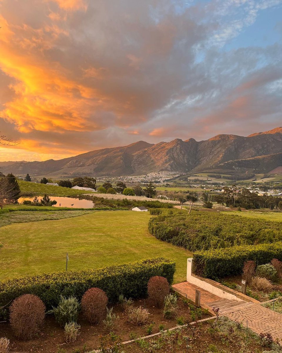 VirginLimitedEd's tweet photo. Basking in the glorious golden skies of Franschhoek β¨π· Who's joining us?
πΈ @jessica.flg
#MontRochelle #Franschhoek #SouthAfrica #CapeWinelands #VirginLimitedEdition #VLEMagic https://t.co/YlRpIrCuvO