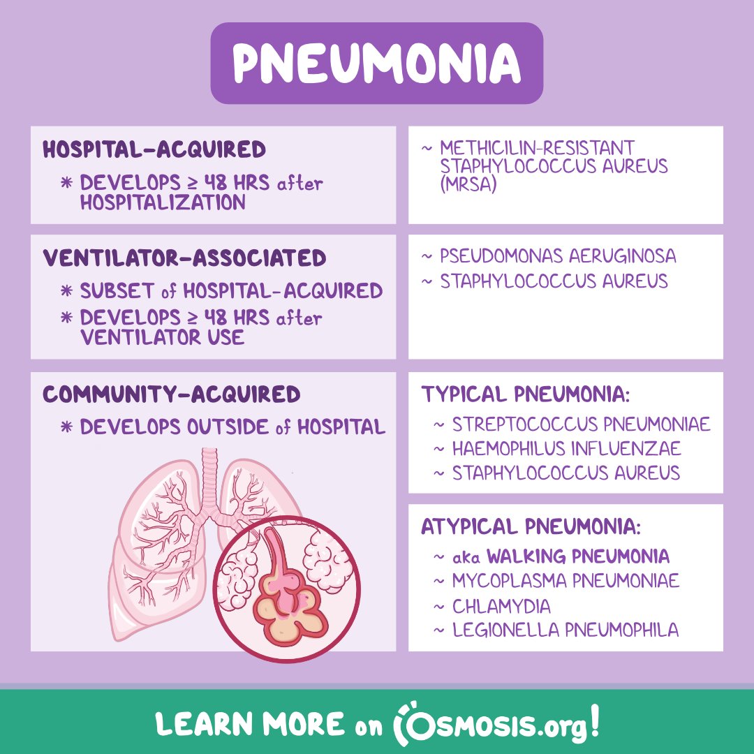 OsmosisMed's tweet photo. While #WorldPneumoniaDay passed a few days ago, it's never too late to learn more about it in our Pathology Review! Pneumonia is an infection of the lung tissue, and its various strains are categorized by where it's acquired.

More info: https://t.co/zHyVnly3tg https://t.co/EYpBtmuV8t