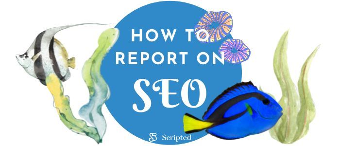 Did you know that an effective SEO report can boost stakeholder trust and fuel data-driven decision-making? Discover the power of SEO reporting in our latest blog post!', bit.ly/3si1vAP