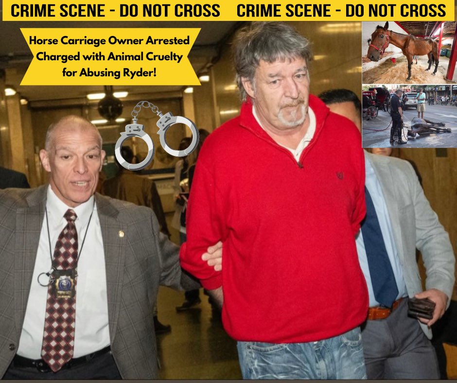 NYCLASS (@nyclass) on Twitter photo 🚨For years we’ve said that carriage owners are criminally abusing horses - finally some justice is being served!
➡️Abusers like Ian McKeever are enabled by <a href="/TWULocal100/">TWU Local 100</a> <a href="/TwuSamuelsen/">John Samuelsen</a> <a href="/NYCSpeakerAdams/">Adrienne Adams</a> <a href="/Lynn4NYC/">Lynn Schulman 舒曼琳</a> <a href="/JustinBrannan/">Justin Brannan</a> <a href="/galeabrewer/">Gale A. Brewer</a> preventing a ban. Enough is enough! 🚨For years we’ve said that carriage owners are criminally abusing horses - finally some justice is being served!
➡️Abusers like Ian McKeever are enabled by <a href="/TWULocal100/">TWU Local 100</a> <a href="/TwuSamuelsen/">John Samuelsen</a> <a href="/NYCSpeakerAdams/">Adrienne Adams</a> <a href="/Lynn4NYC/">Lynn Schulman 舒曼琳</a> <a href="/JustinBrannan/">Justin Brannan</a> <a href="/galeabrewer/">Gale A. Brewer</a> preventing a ban. Enough is enough!