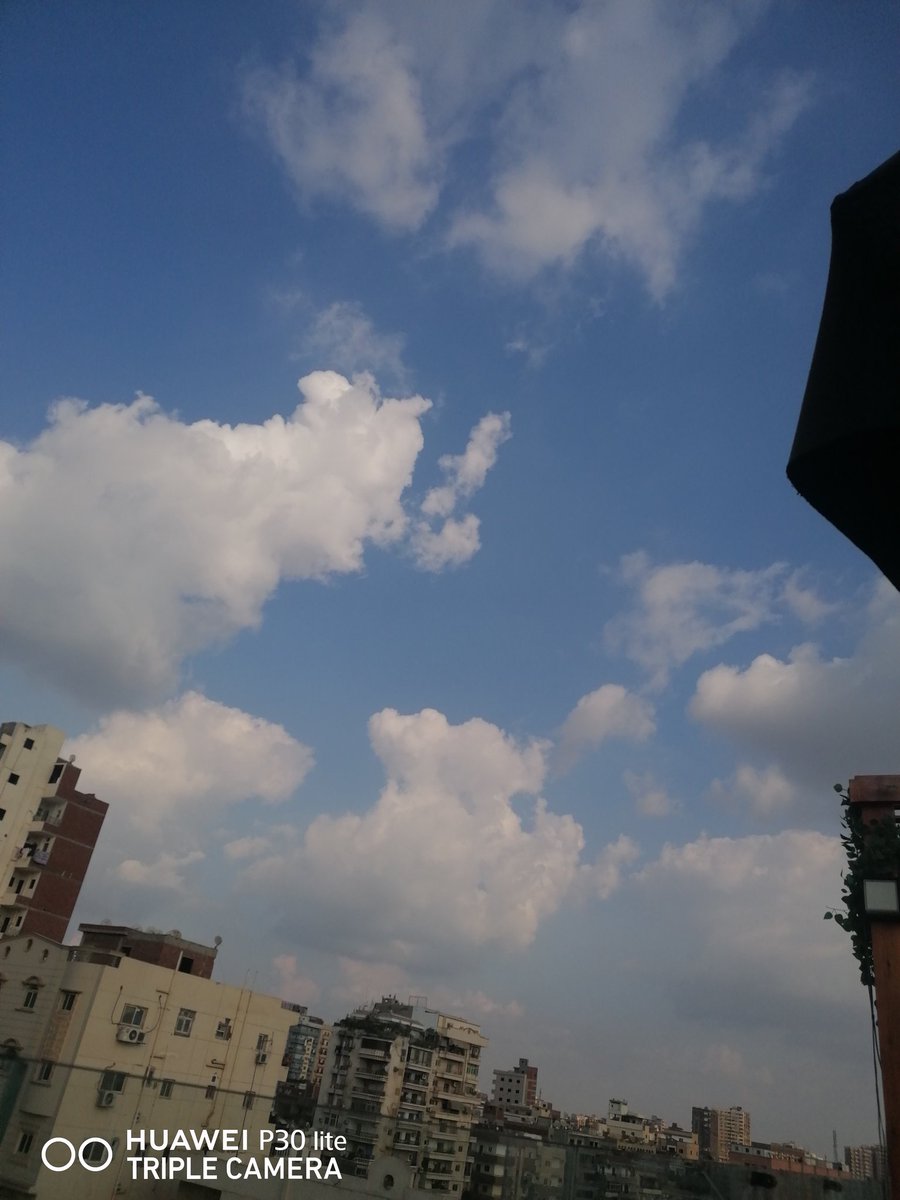 𝑎𝑟𝑒𝑔 𝑓𝑎𝑟𝑎𝑔🍡 (@aregsaed3) on Twitter photo 