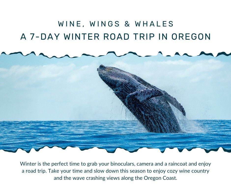 Visit Corvallis tweet media