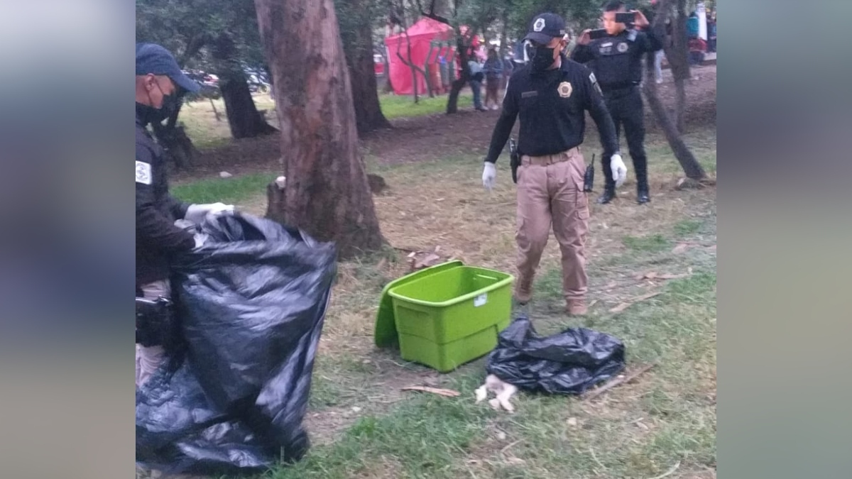 ChilangoCom's tweet photo. ⚠️ ¡Alerta! Denuncian asesinatos seriales de perritos en el Bosque de Nativitas 🐶😨 Info acá: https://t.co/0wP8wGK5Xb https://t.co/9Axtod5m6D