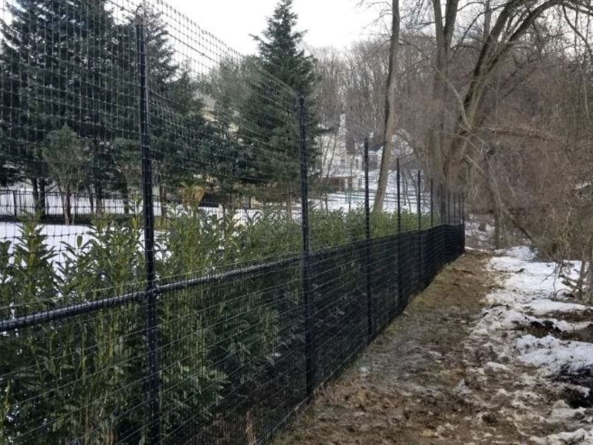 Our deer fencing can help keep the deer out of your yard or any space that you’d like to have enclosed. Let us help you find the product that will work best for your needs! 🦌

#RusticraftFence #fence #fencing #WaynePA #MainLine #MainLineToday #MainLinePA #deer #deerfence