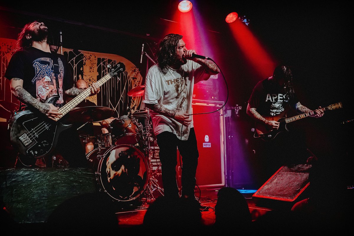 Steve Gerrard tweet media