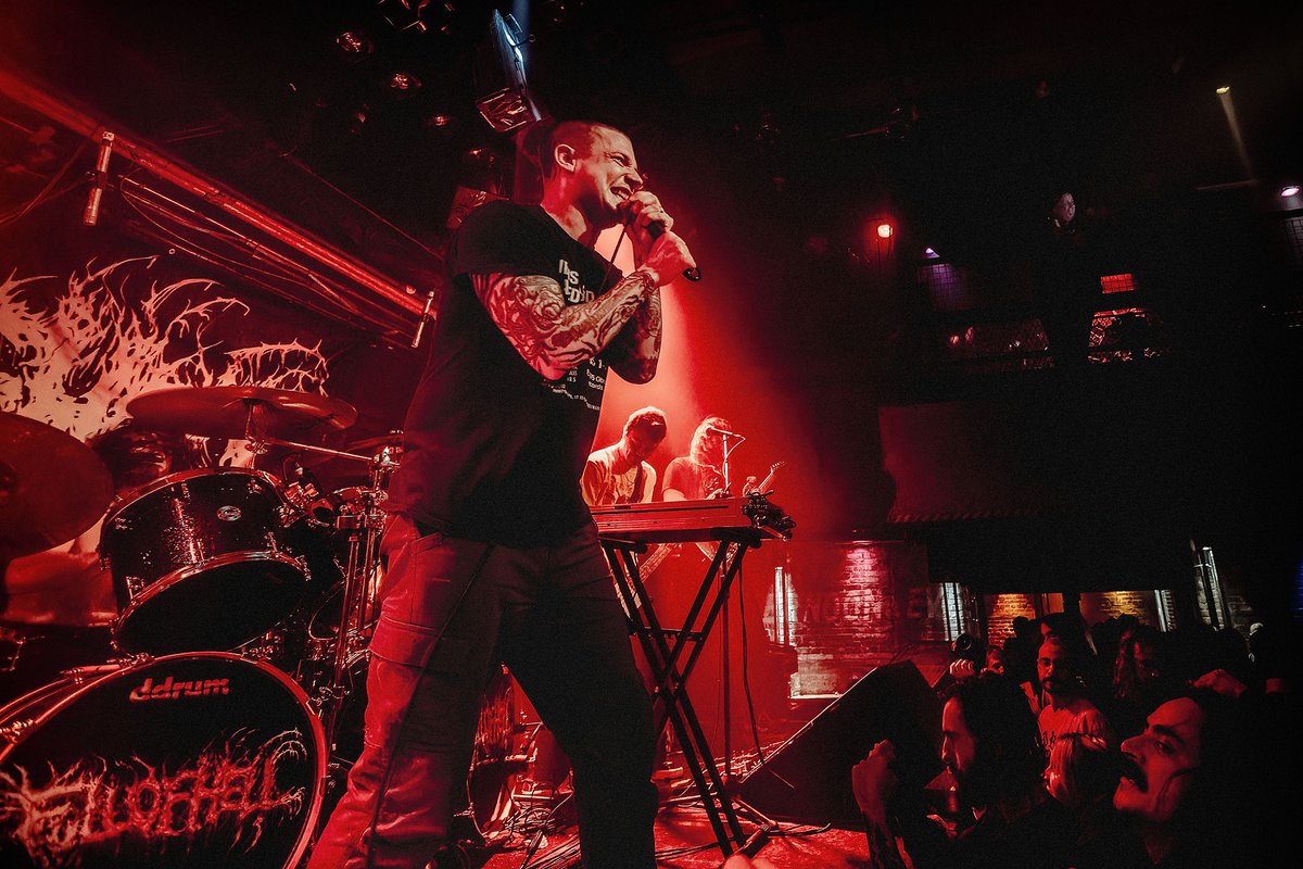 Steve Gerrard tweet media