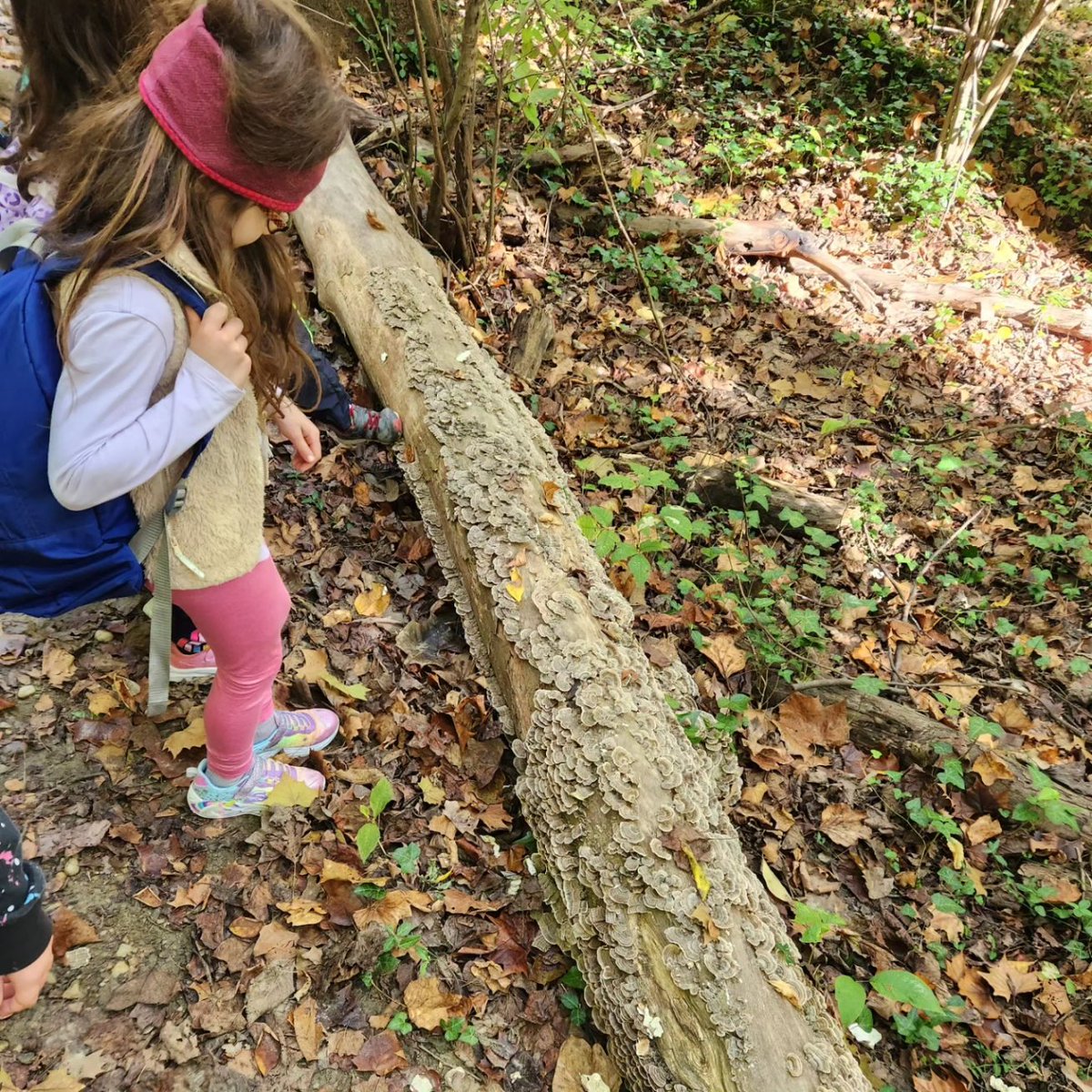 UrbanAdvSquad's tweet image. Check out our program dates and locations for winter days when school's closed. Registration opens Tues., 12/5 at 8pm!

urbanadventuresquad.org/fulldayprograms

#ThisIsOutdoorLearning 
#EquitableOutdoorLearning 
#CityAsAClassroom