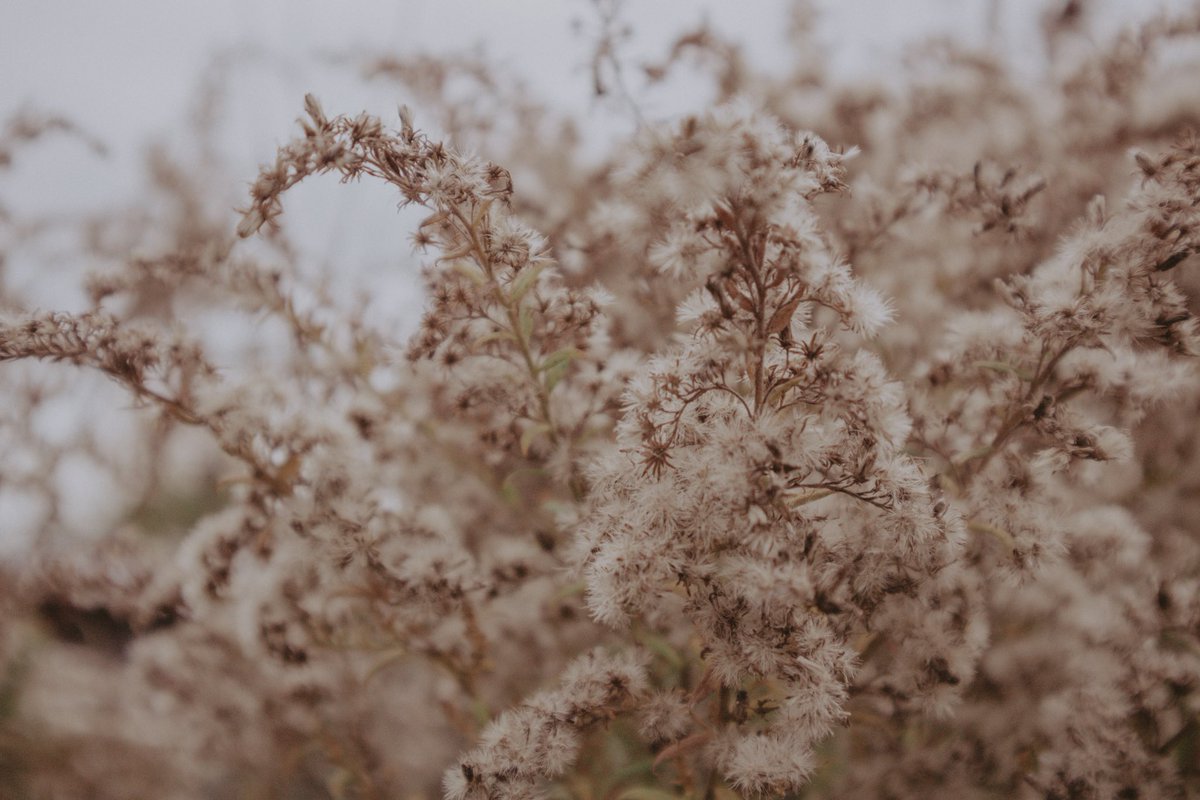 Skybound Perspectives tweet media