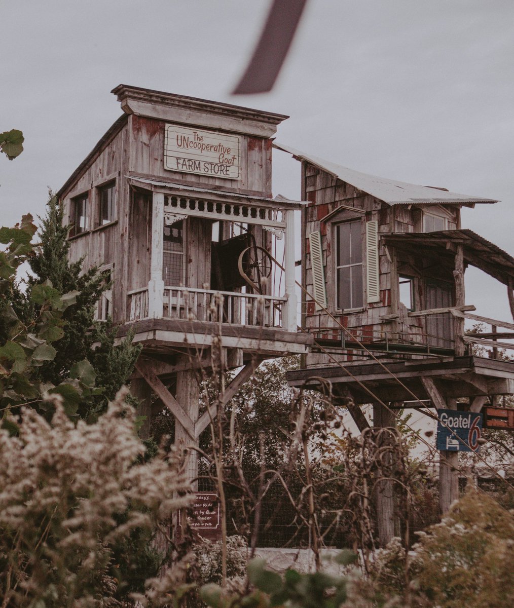 Skybound Perspectives tweet media