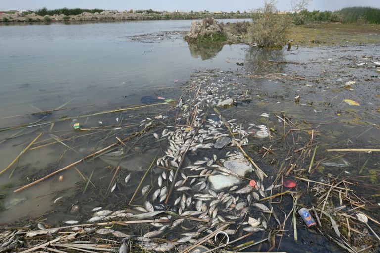 HusamTalib's tweet photo. #article
Our city urban form is affected by environmental governance, how can we control this change? more details.
https://t.co/IQq06MwnW8
#urbanism #environmentalgovernance #urbanform https://t.co/OvU7BTNAVj