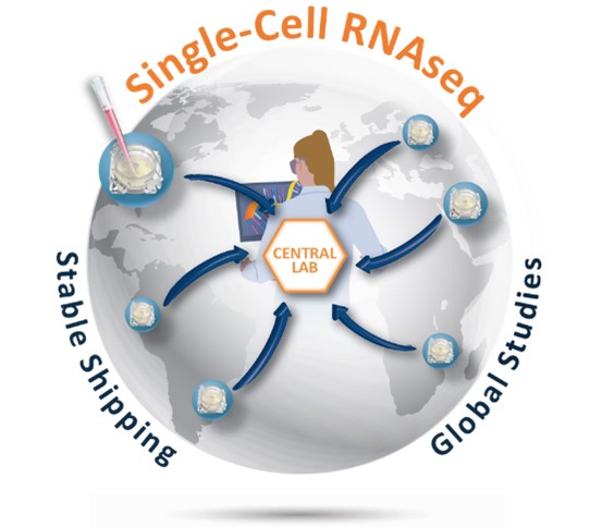 Honeycomb Biotechnologies tweet media