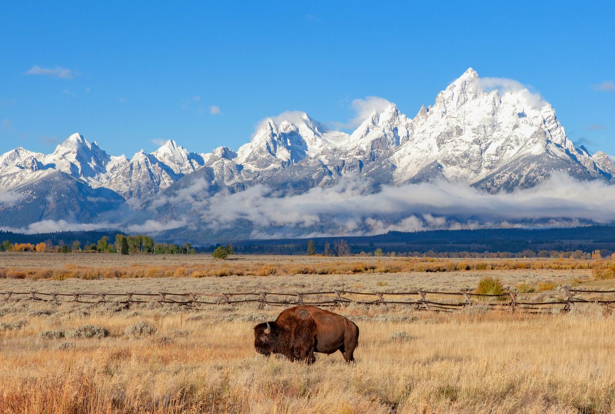 Brynn Alise tweet media