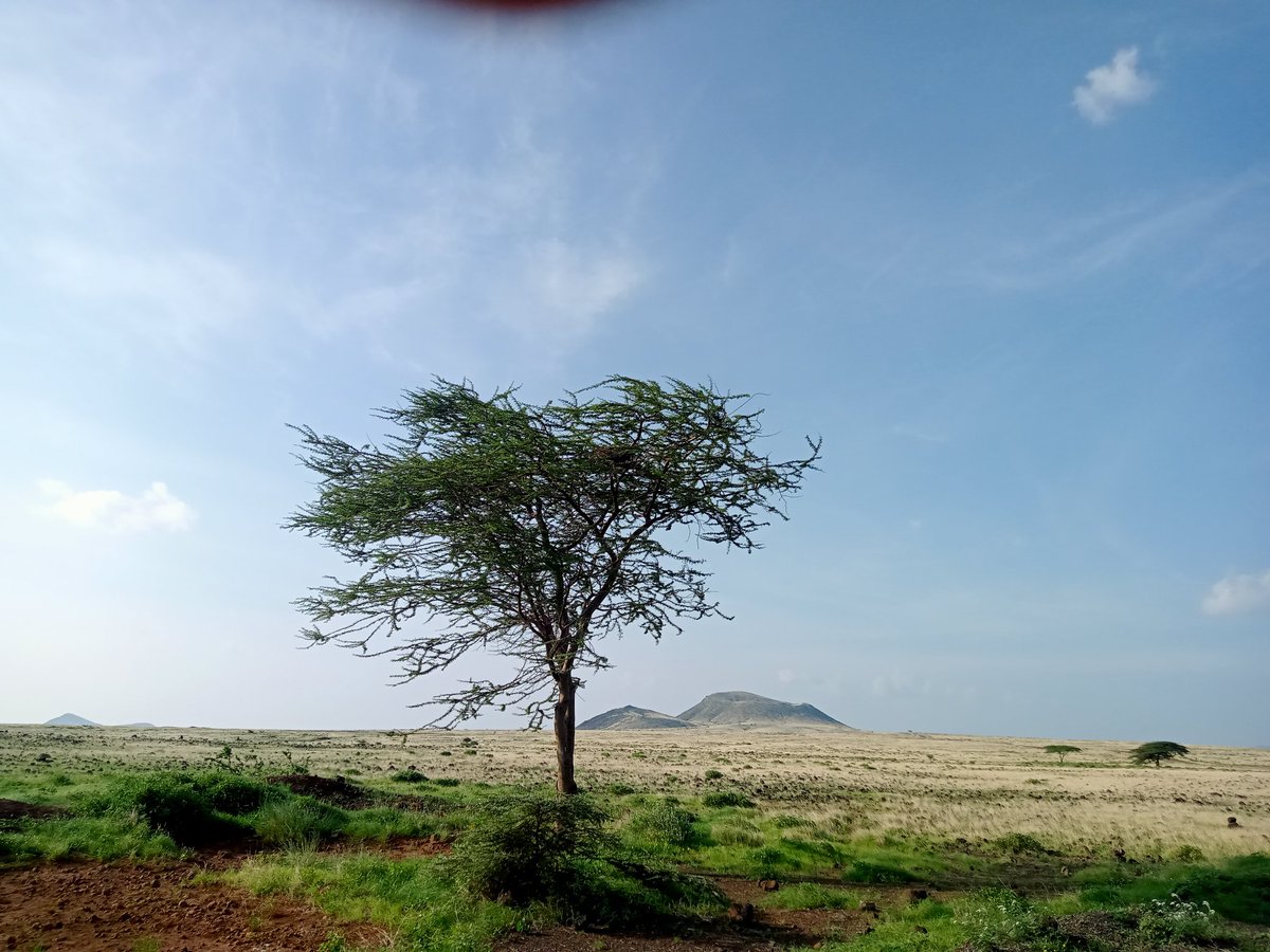 Muriux's tweet image. Magical Kenya Travel Expo / East Africa Region Tourism Expo combo. Double the Magic! From 20-22 Nov 2023 at the Kenyatta International Convention Centre #MeetInKenya #MKTE #EARTE #MagicalKenya