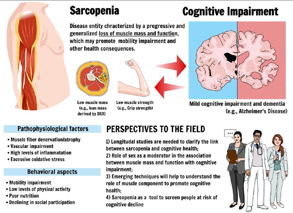 “May the Force (and Size) Be with You”: Muscle Mass and Function Are Important Risk Factors for Cognitive Decline and Dementia…
link.springer.com/article/10.100…