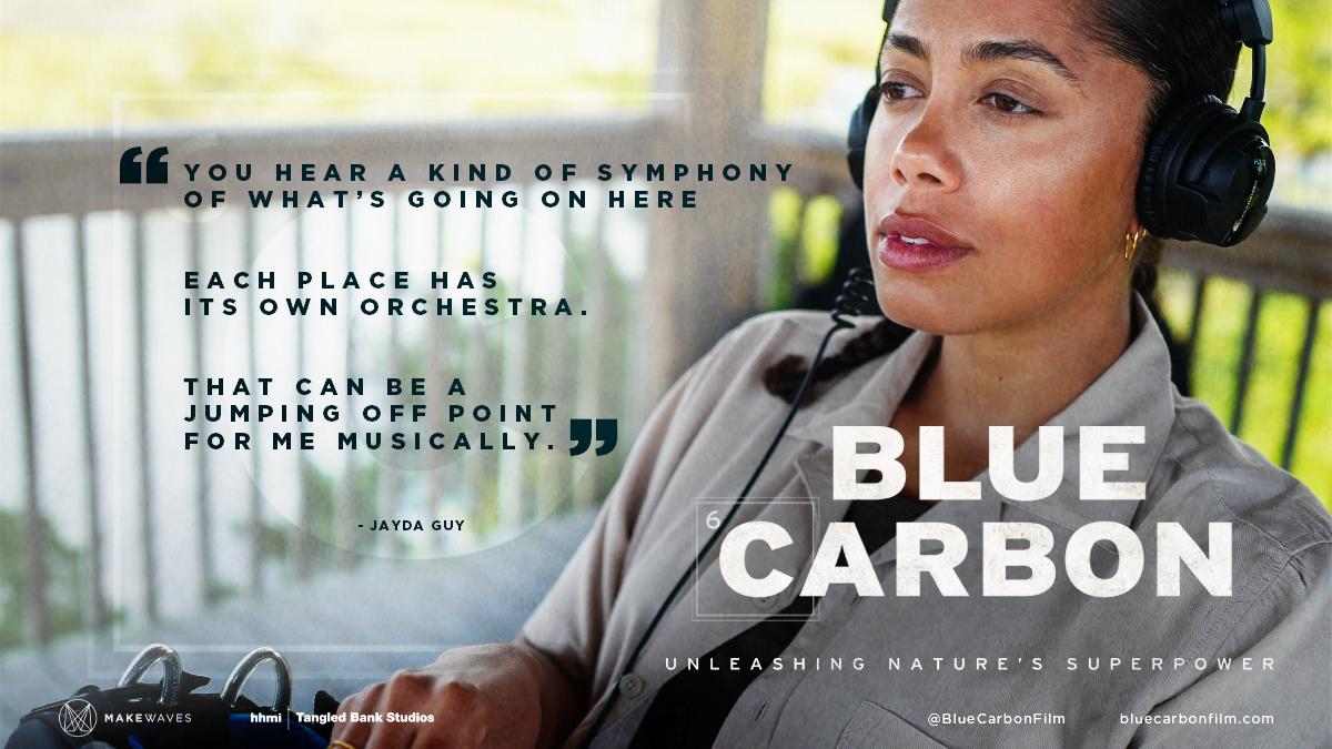 BlueCarbonFilm's tweet image. 🌿 Announcing Blue Carbon, a groundbreaking documentary about the climate-saving power of coastal ecosystems. Featuring Jayda G, with music by @RZA &amp;amp; @seujorge, directed by @Nicolasroether. Coming soon to @ndr , @canalplus , @CNNFilms . #BlueCarbonFilm #BlueCarbon 🌊🎬