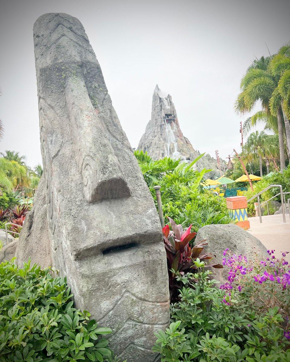 IAAPANorthAmerica tweet media