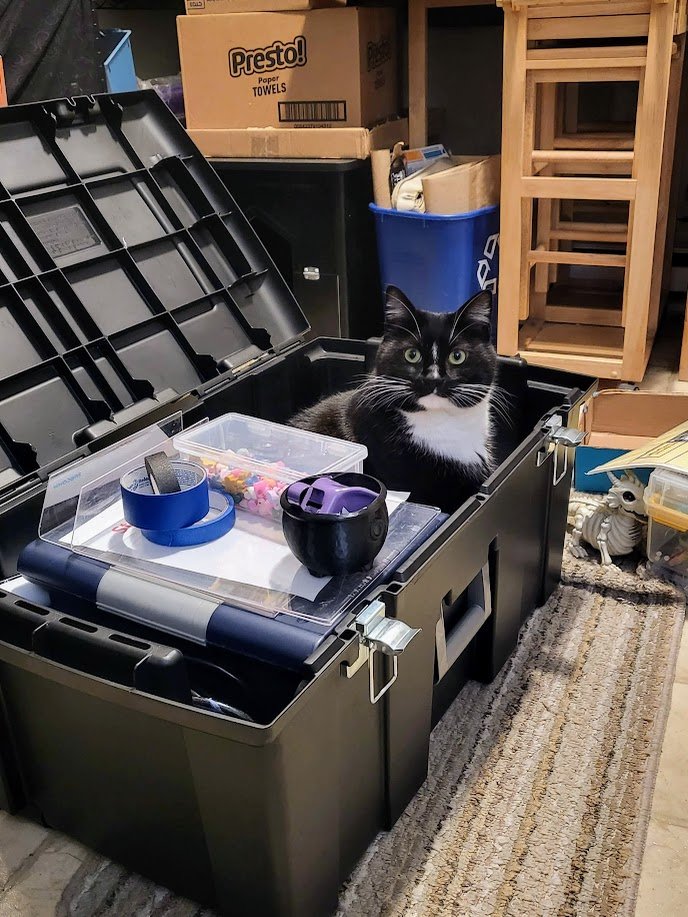 Goji inspected my convention supplies, certified ready for #Kumoricon!