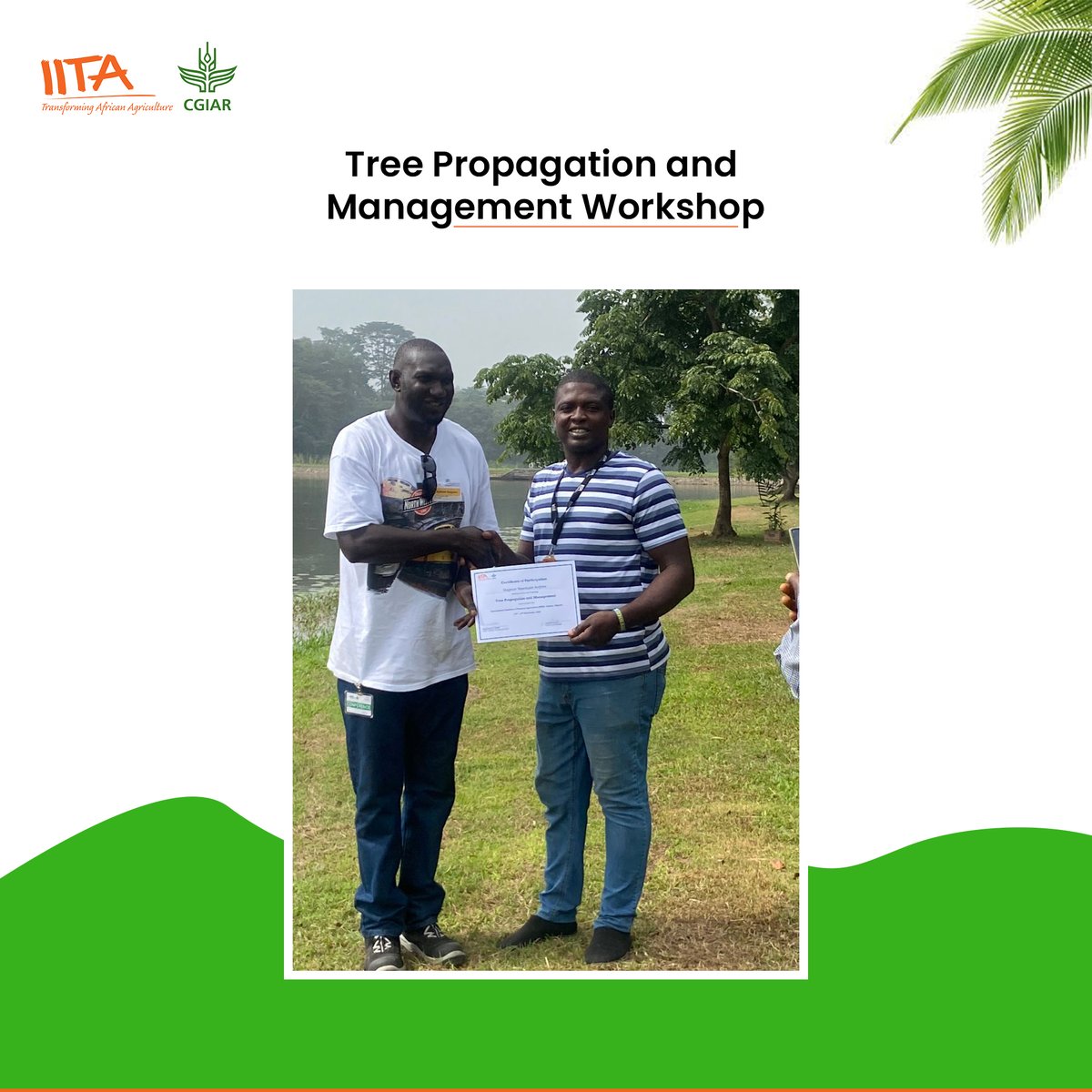 IITA_CDO's tweet photo. We are determined to keep supporting and contributing our part towards a greener, and more resilient world.

cc @IITAForest

#iita #iitacdo #capacitydevelopment #treepropagation #greenlife #sustainablefuture #treereforestation #reforestation https://t.co/O6UK179Ome